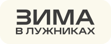 Зима в Лужниках